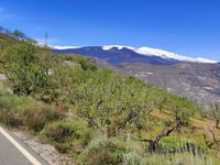 Cerro del Quejigo via Torvizcón