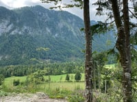Cesta v Radovno von Mojstrana