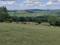 Chambralles