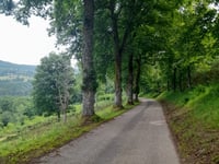 Champ du Feu vanuit Waldersbach