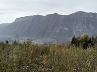 Champeny von Bonvillard