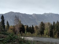 Champeny von Bonvillard