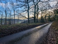 Champles Lodge da Bampton