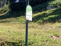 Chamrousse von Murianette