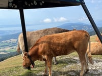 Col du Chasseral von Nods