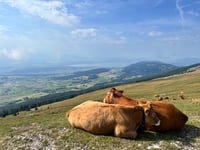 Col du Chasseral von Nods