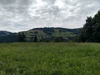Chaucisse von Flumet
