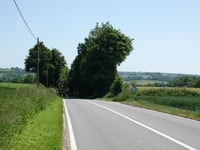 Chaussée du Comté de Dalhem von Mortroux