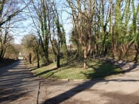 Chavée Arecht
