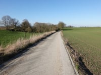 Chavée Arecht über Thier Xhavee