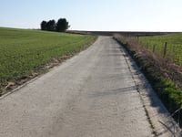 Chavée Arecht über Thier Xhavee