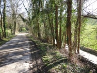 Chavée Arecht über Thier Xhavee