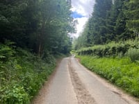 Chedworth Woods