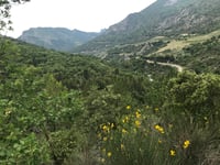 Chemin d'Autanne depuis Col de l'Homme Mort