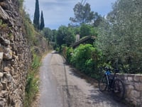 Chemin de Campanette