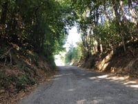 Chemin de Charbonnière from Royas