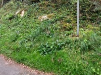 Chemin de Cot de Ger