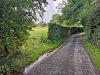 Chemin de Favechamps