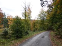 Chemin de Hestreux von Les Haute Fagnes