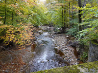 Chemin de Hestreux von Les Haute Fagnes