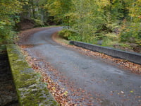 Chemin de Hestreux von Les Haute Fagnes