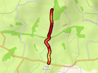 Chemin de la Forêt