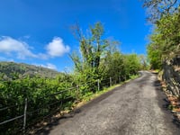 Chemin de la Lemmetrie