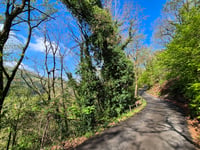 Chemin de la Lemmetrie