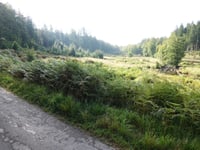 Chemin de la Soor von Eupen