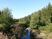 Chemin de la Soor von Eupen