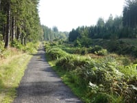 Chemin de la Soor von Eupen