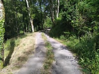 Chemin de la Vieille École