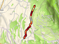 Chemin de Longive