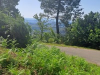 Chemin de Versas
