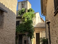 Chemin des Fragons von Le Hameau de Amphoux