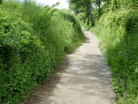 Chemin des Morts via Rue Ma Campagne