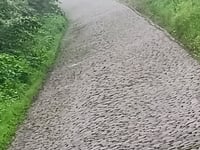 Chemin des Nonnettes