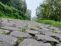 Chemin des Nonnettes