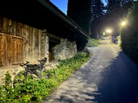 Chemin des Riffroids