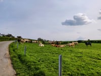 Chemin des Trixhes d'Oneux from Pepinster