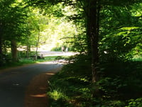 Chemin des Tumuli