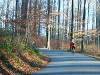 Chemin des Tumuli
