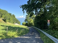 Chemin du Bois-de-Ruz