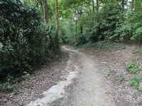 Chemin du Bois des Rames