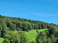 Chemin du Bois du Roi desde ’s-Gravenvoeren