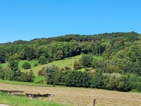 Chemin du Bois du Roi desde ’s-Gravenvoeren