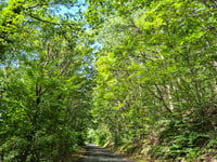 Chemin du Comte