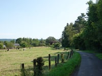 Chemin du Congo von Desnié