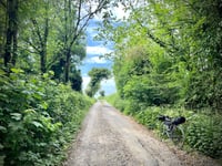 Chemin du Crocq