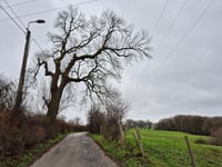 Chemin du Haras